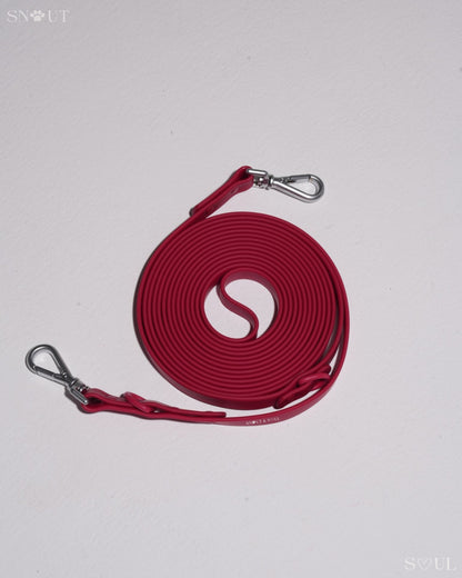 Long Leash