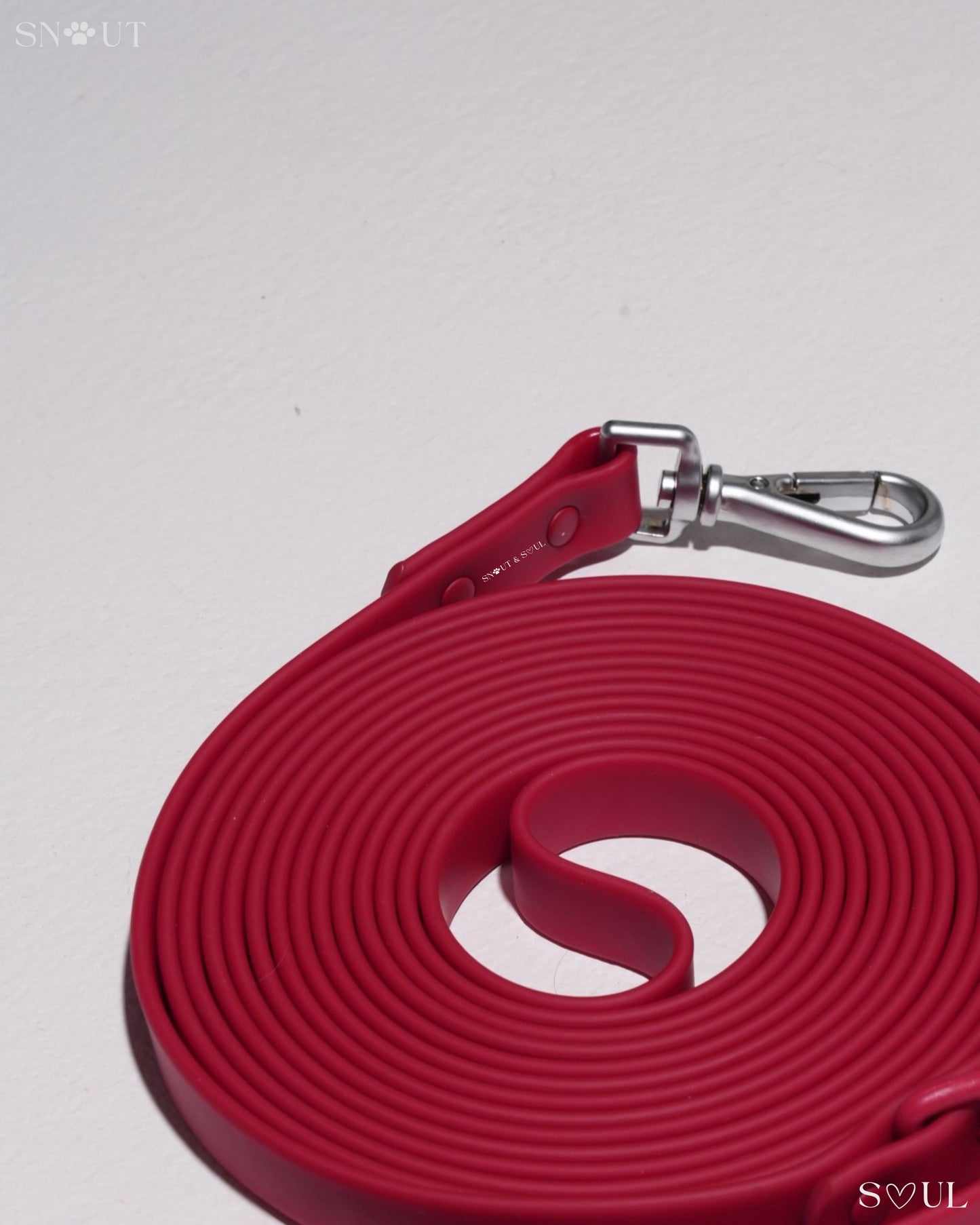 Long Leash