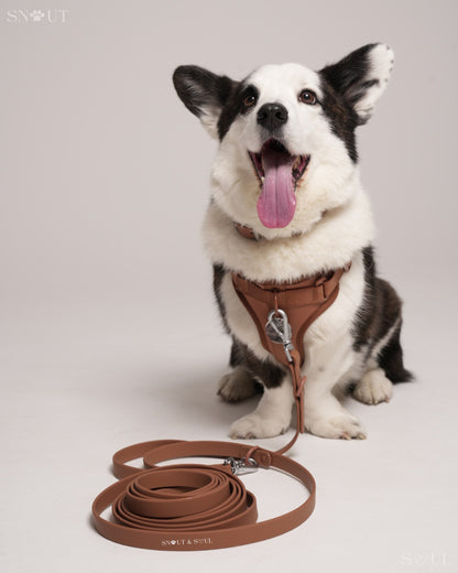 Long Leash