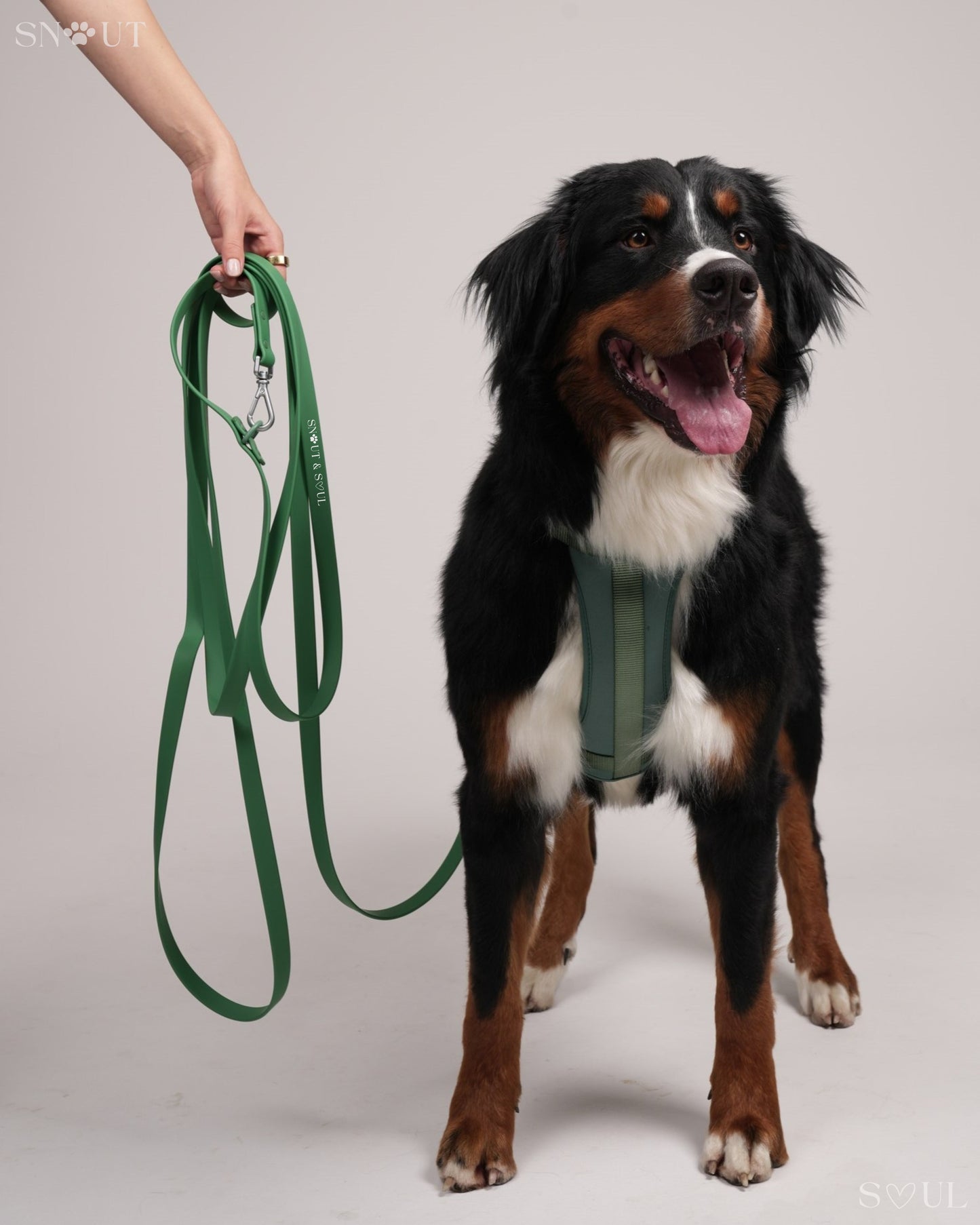 Long Leash