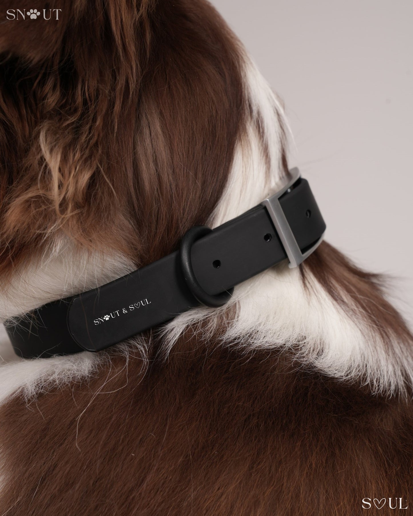 Collar
