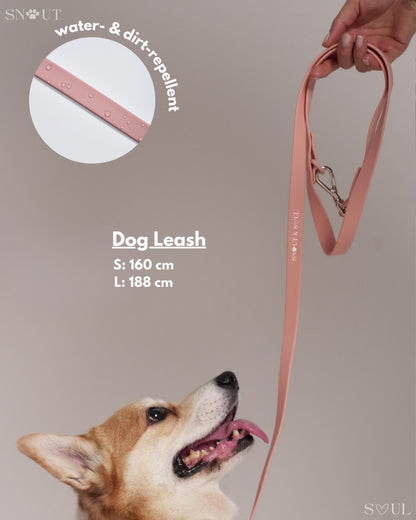 Leash