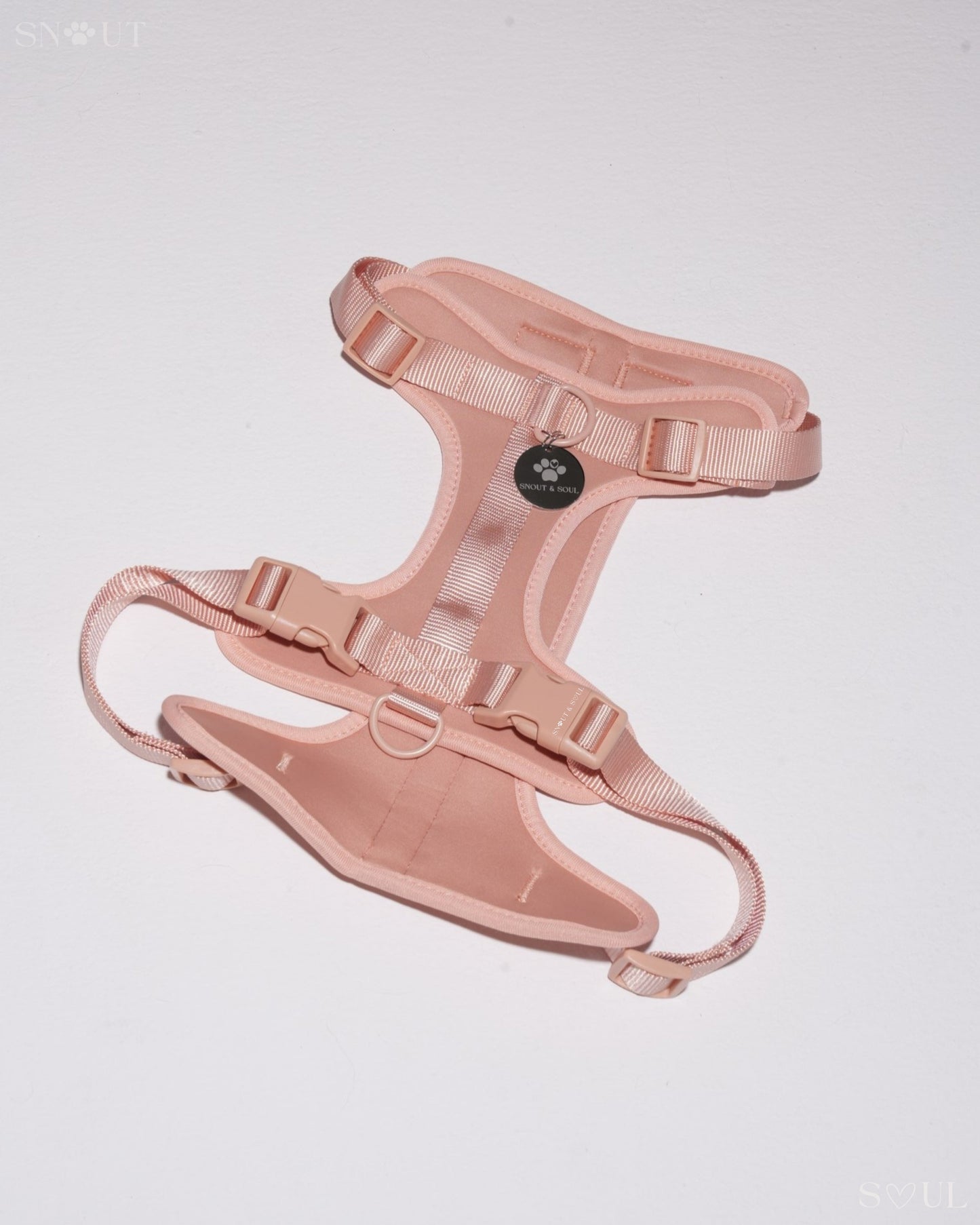 Harness
