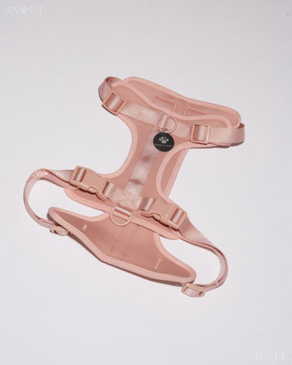Harness