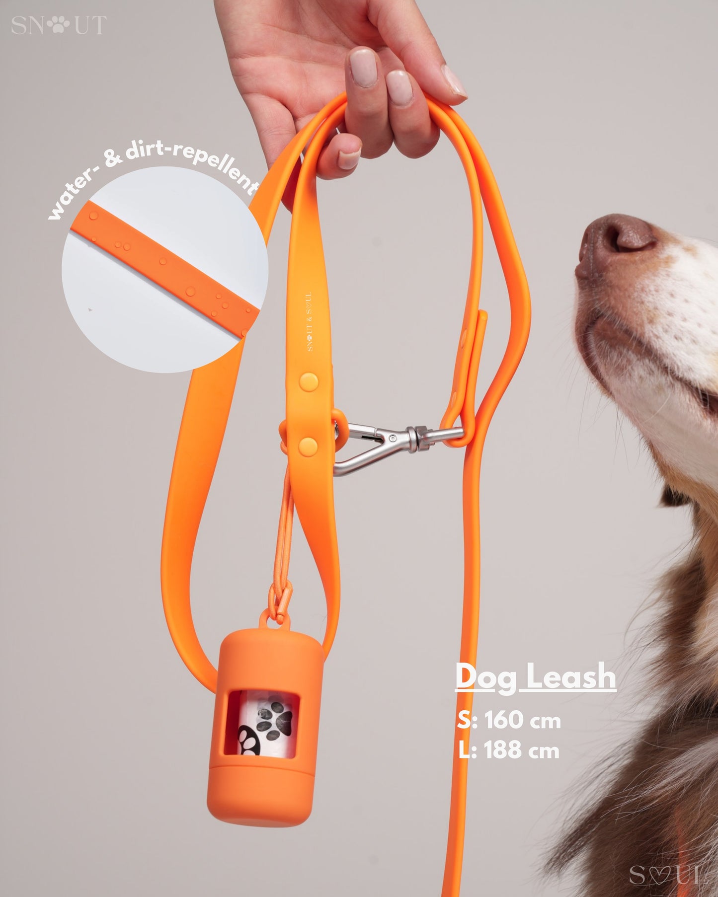 Leash