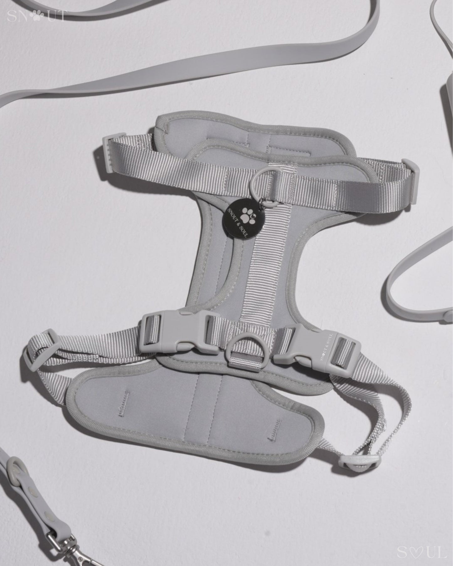 Harness