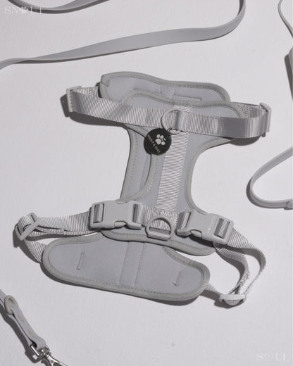 Harness