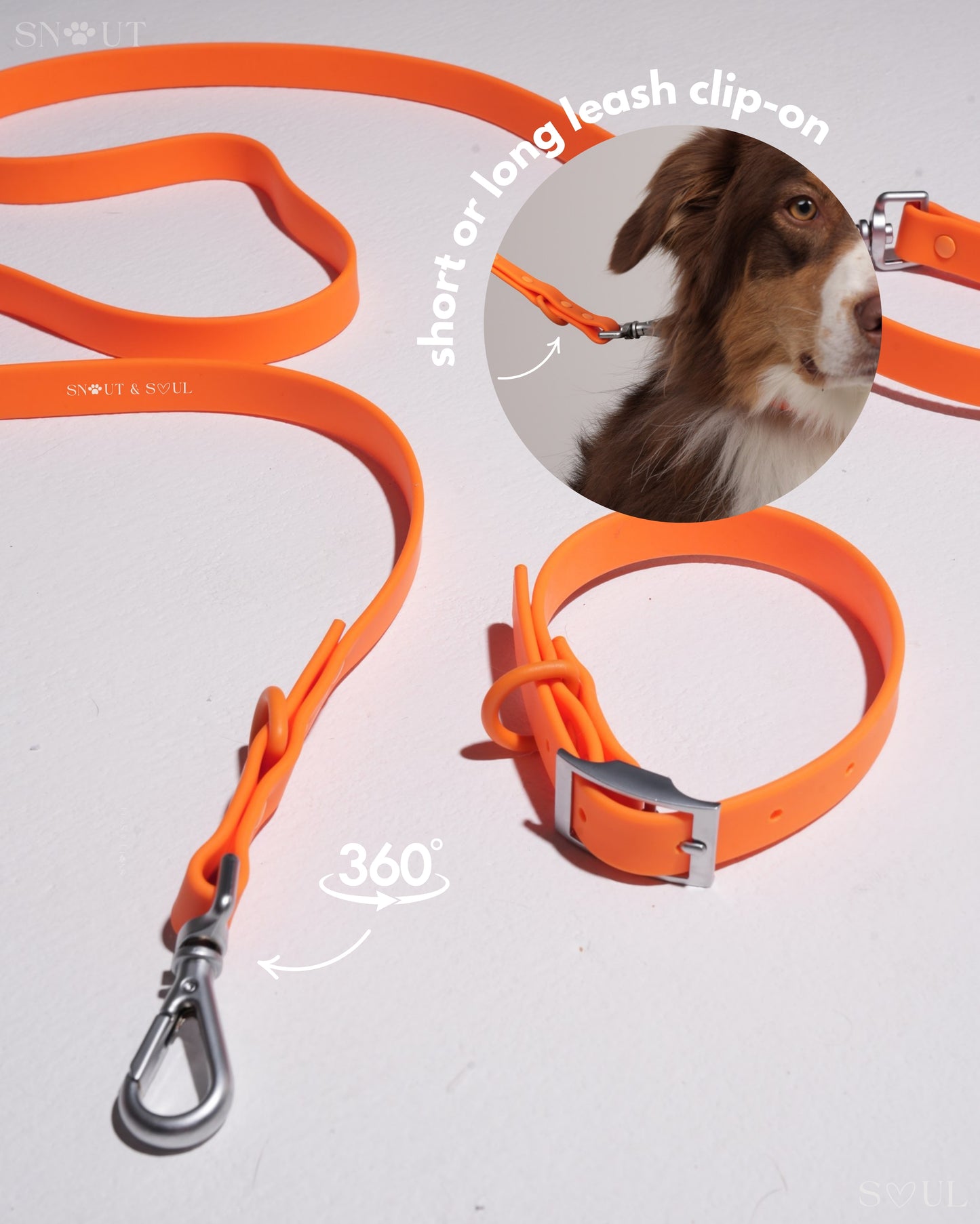 Leash