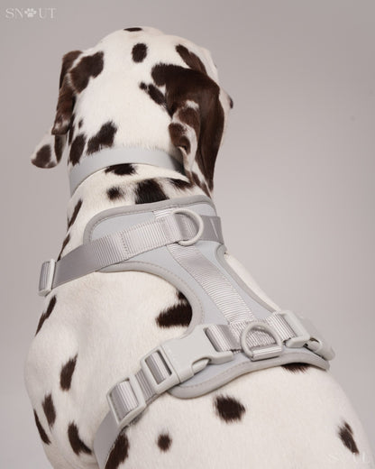 Harness