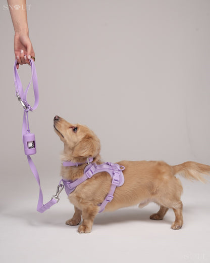 Walk Set