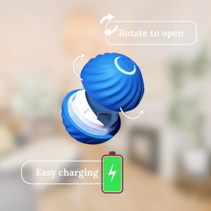 Snout Interactive Dog Ball