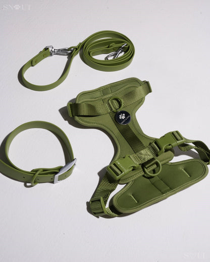 Walk Set