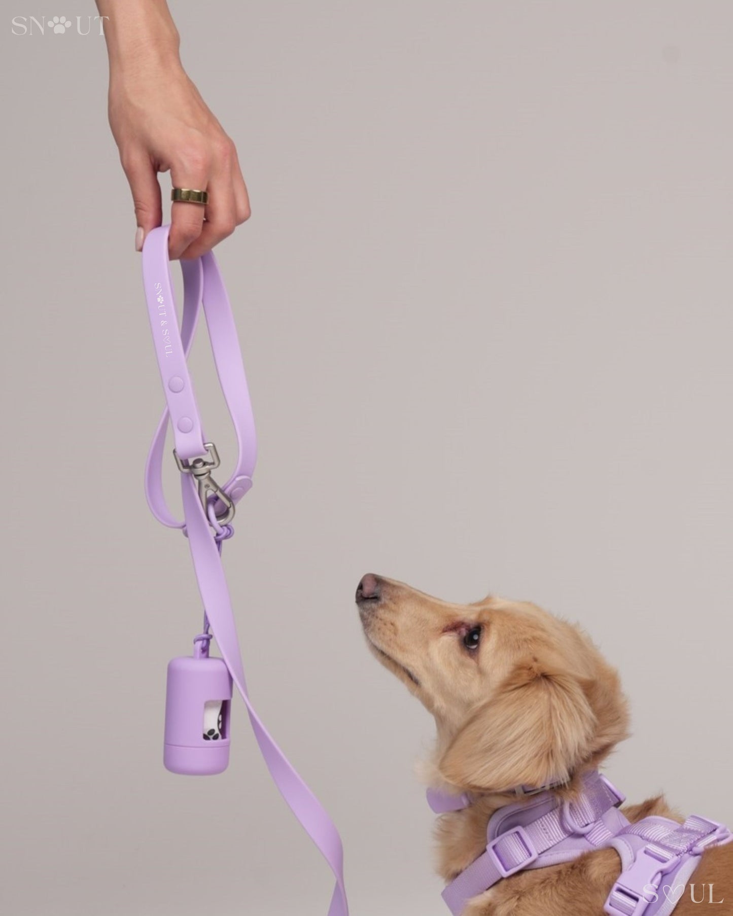 Leash