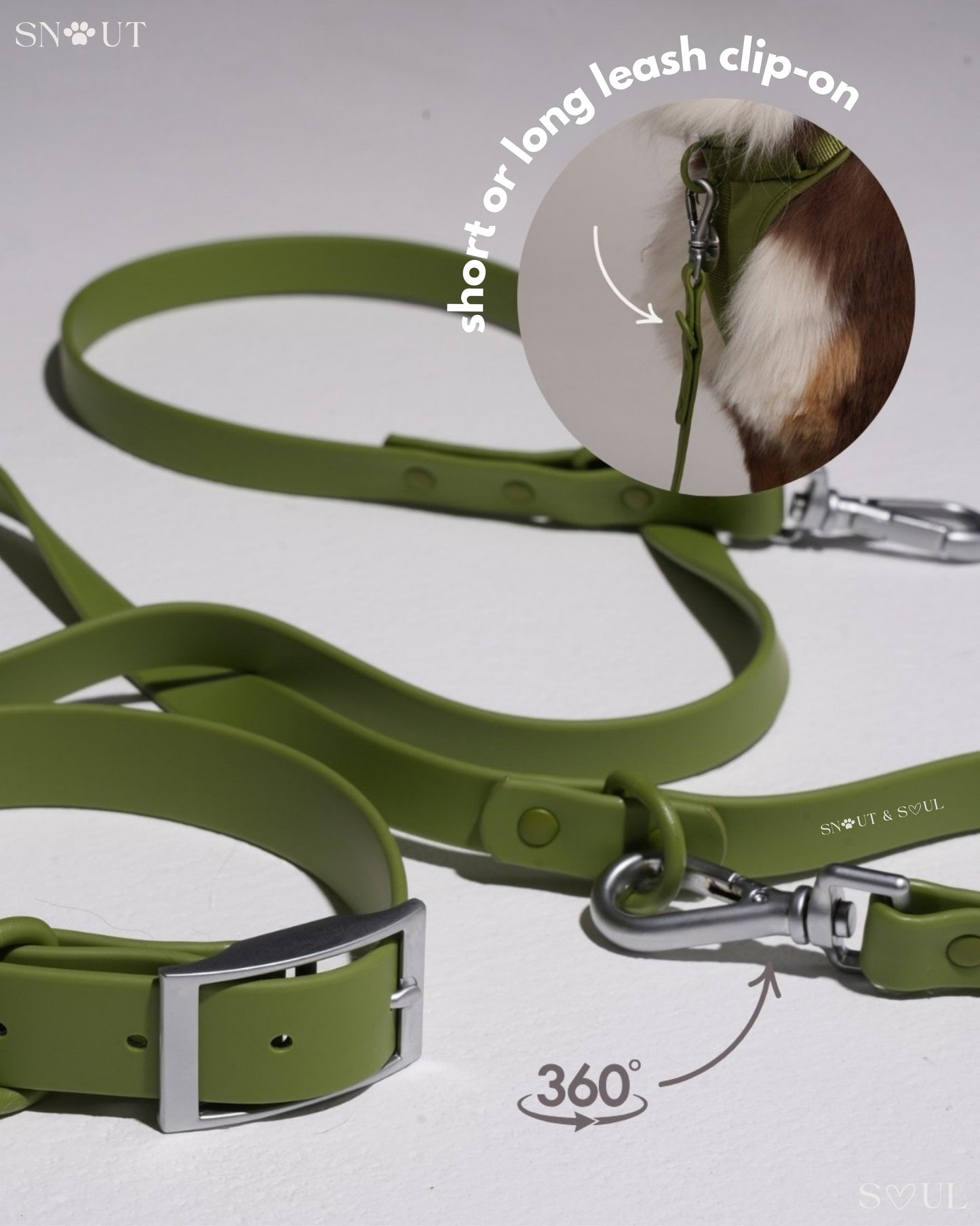Leash