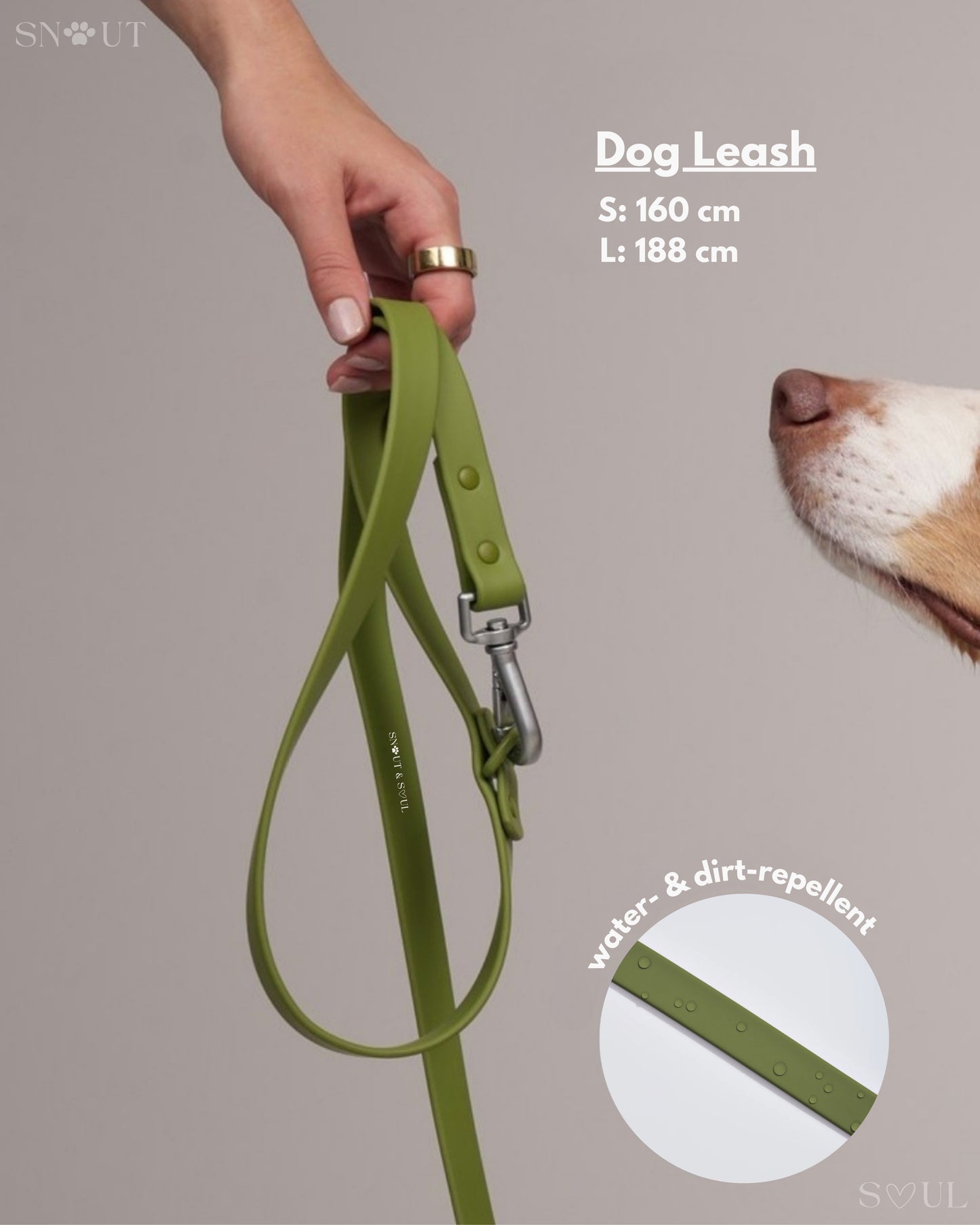 Leash
