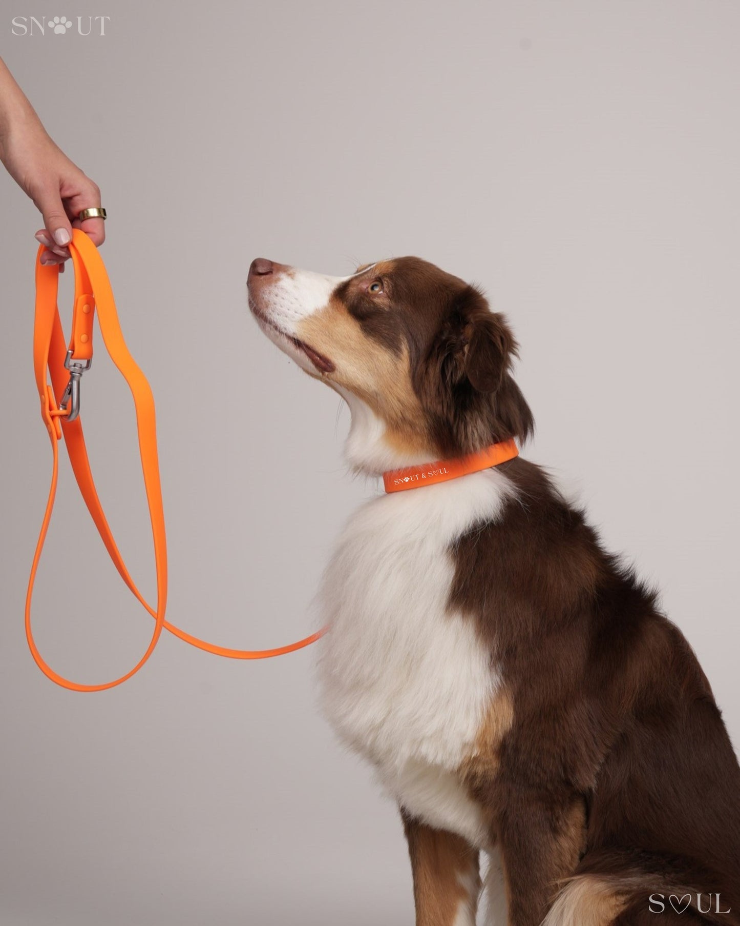 Leash