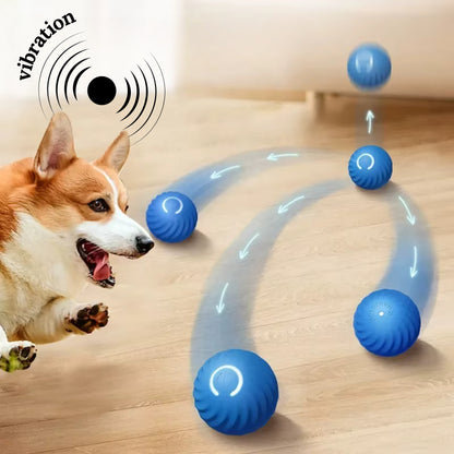 Snout Interactive Dog Ball