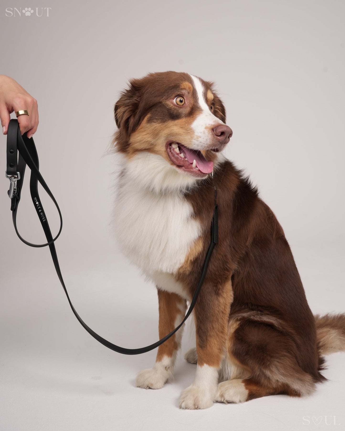 Leash