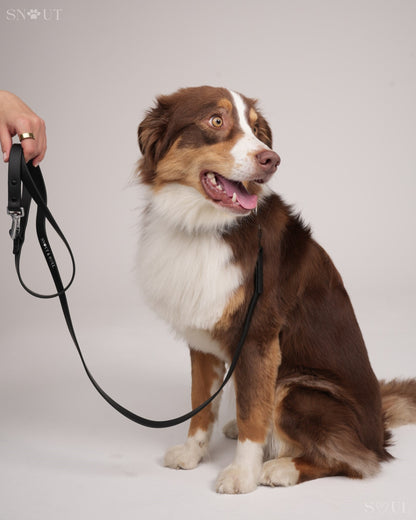 Leash