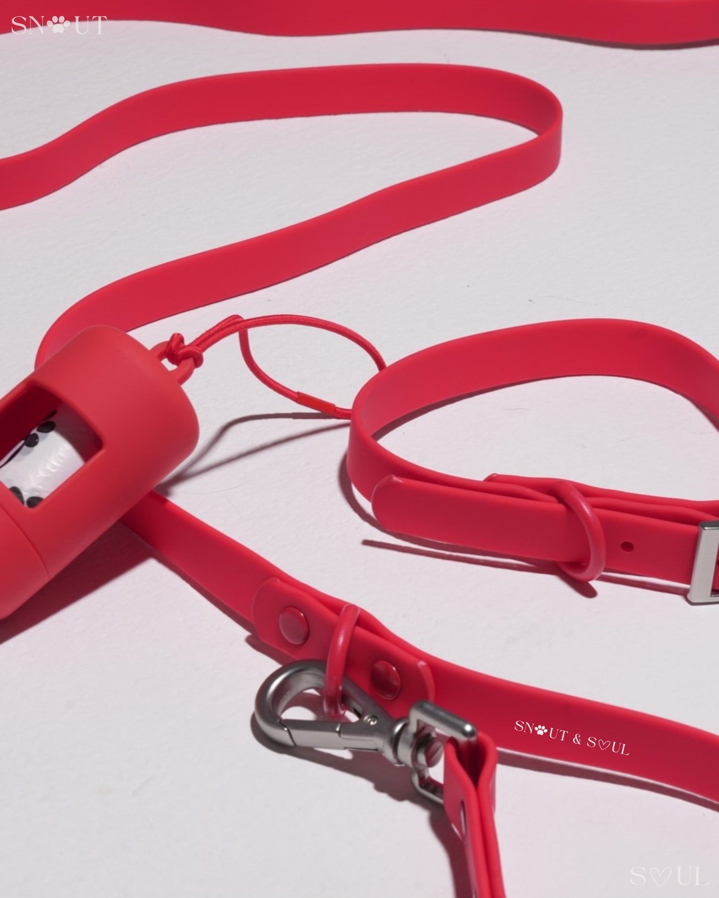 Leash