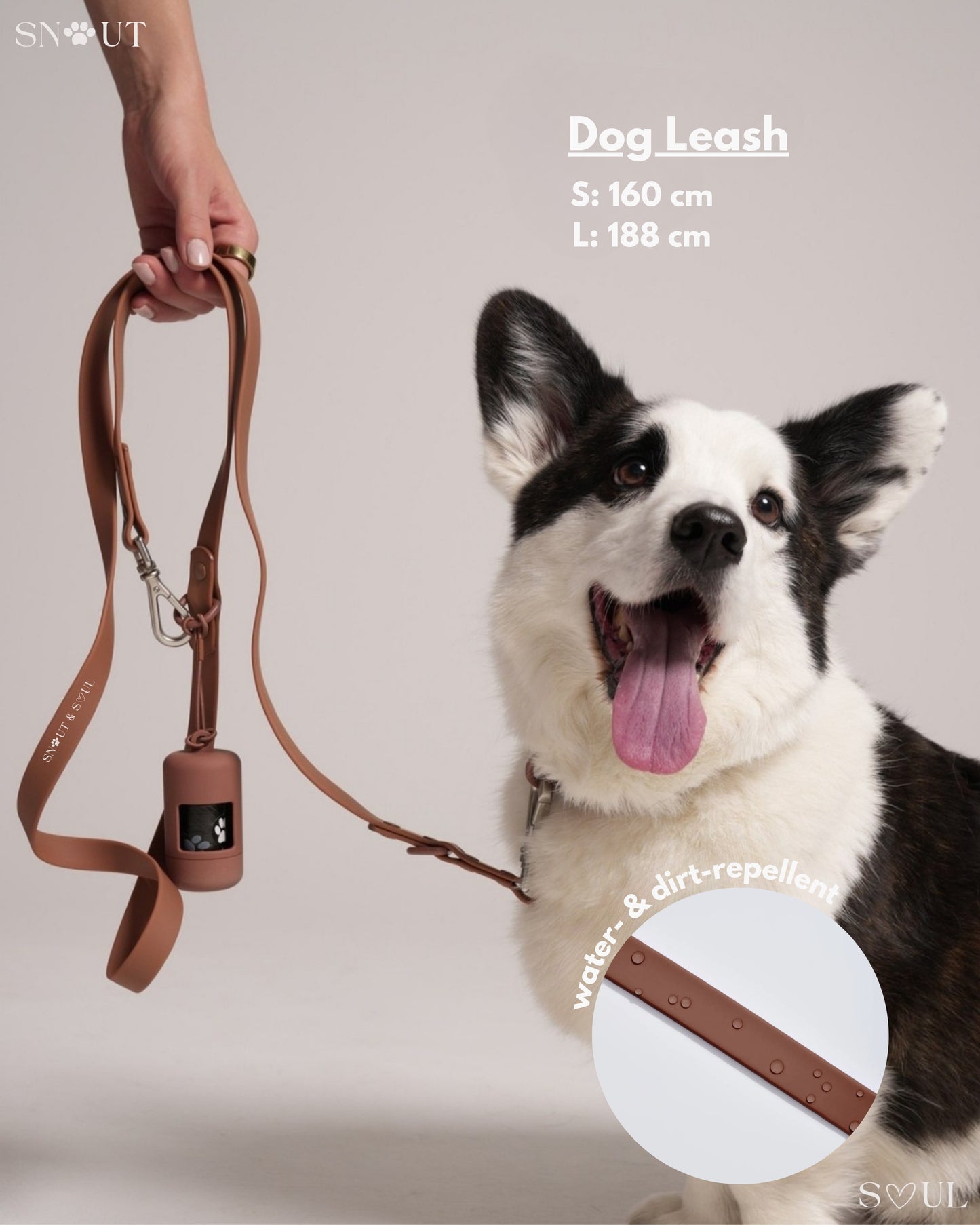Leash