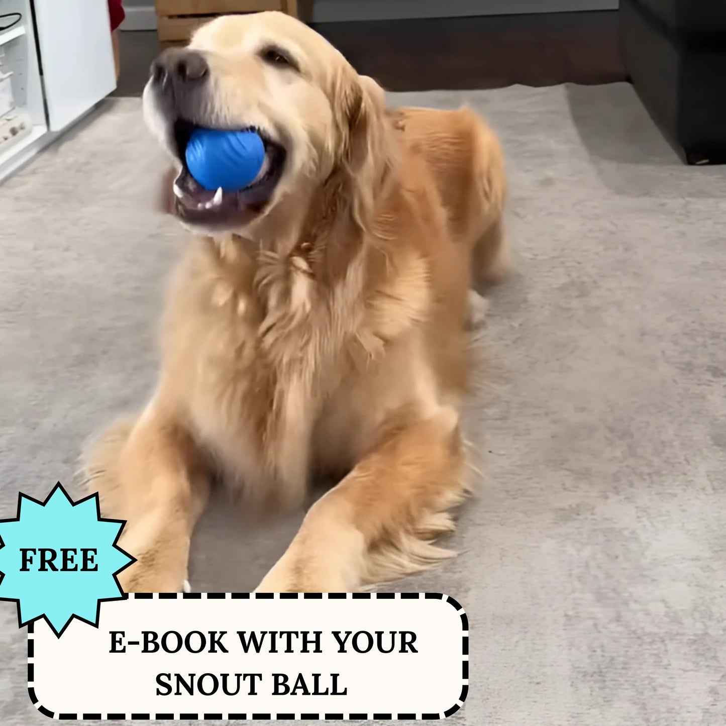 Snout Interactive Dog Ball