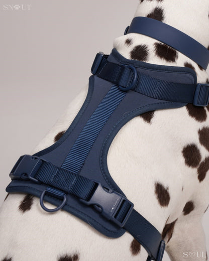 Harness