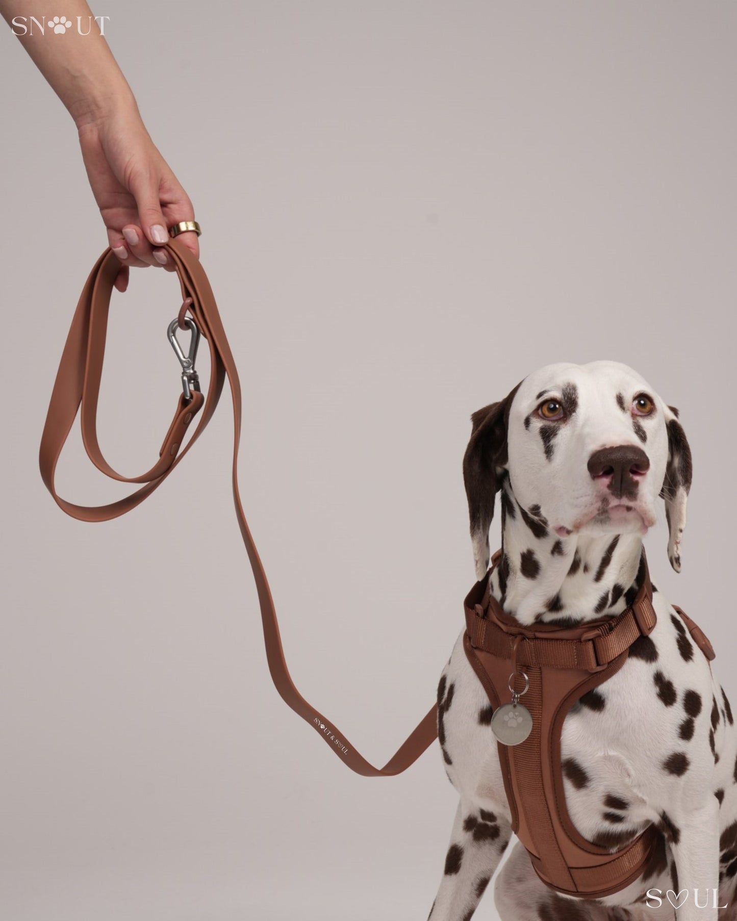 Leash