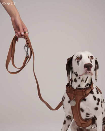 Leash