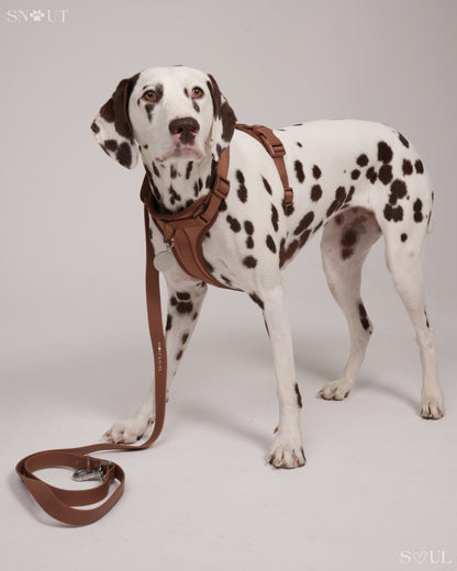 Leash