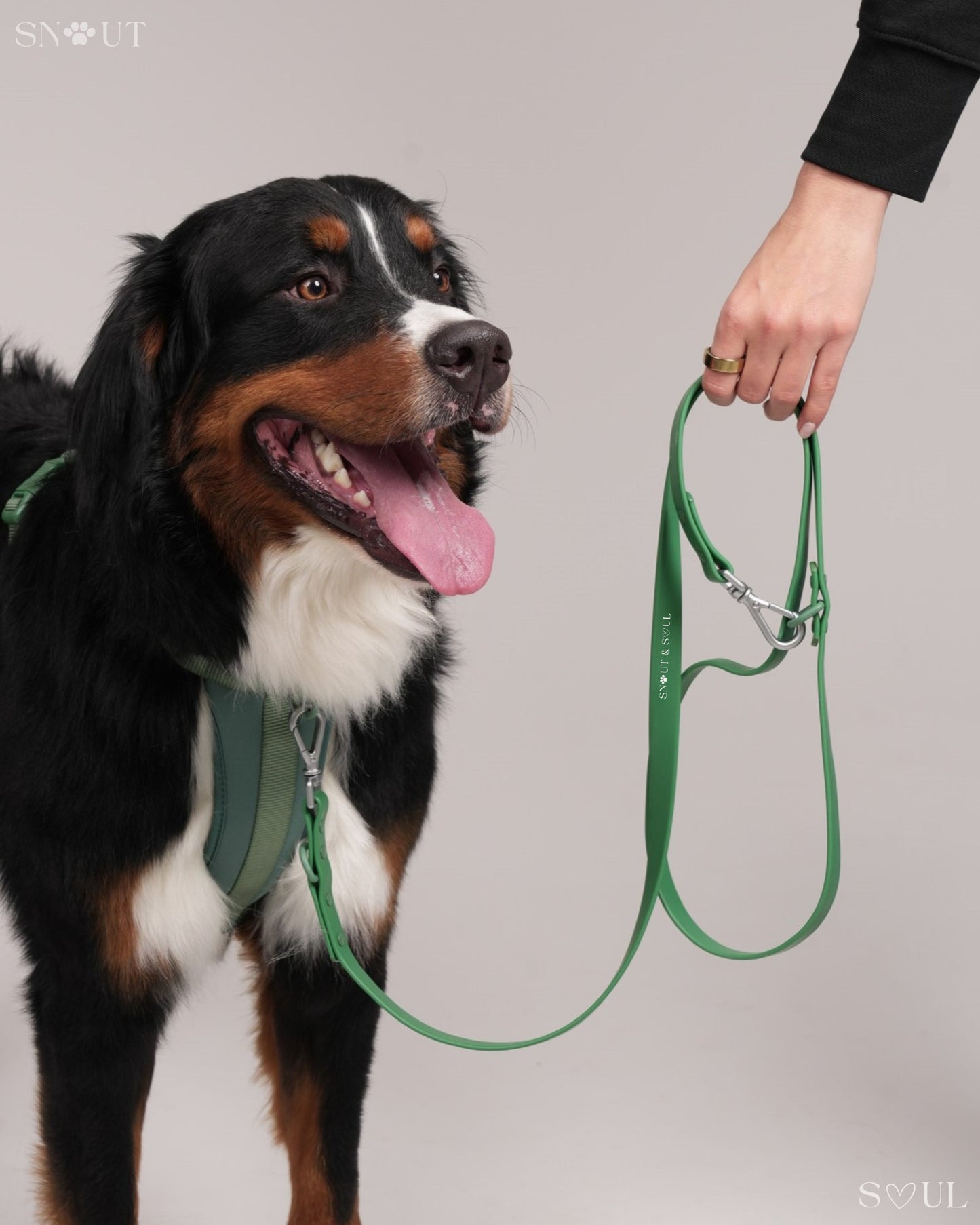 Leash