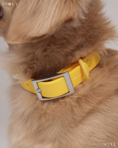 Collar