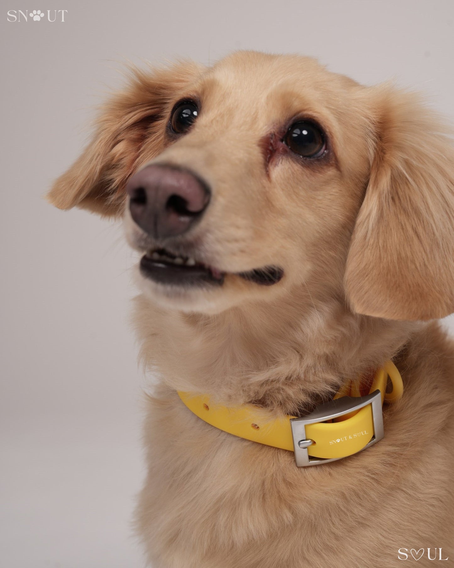 Collar