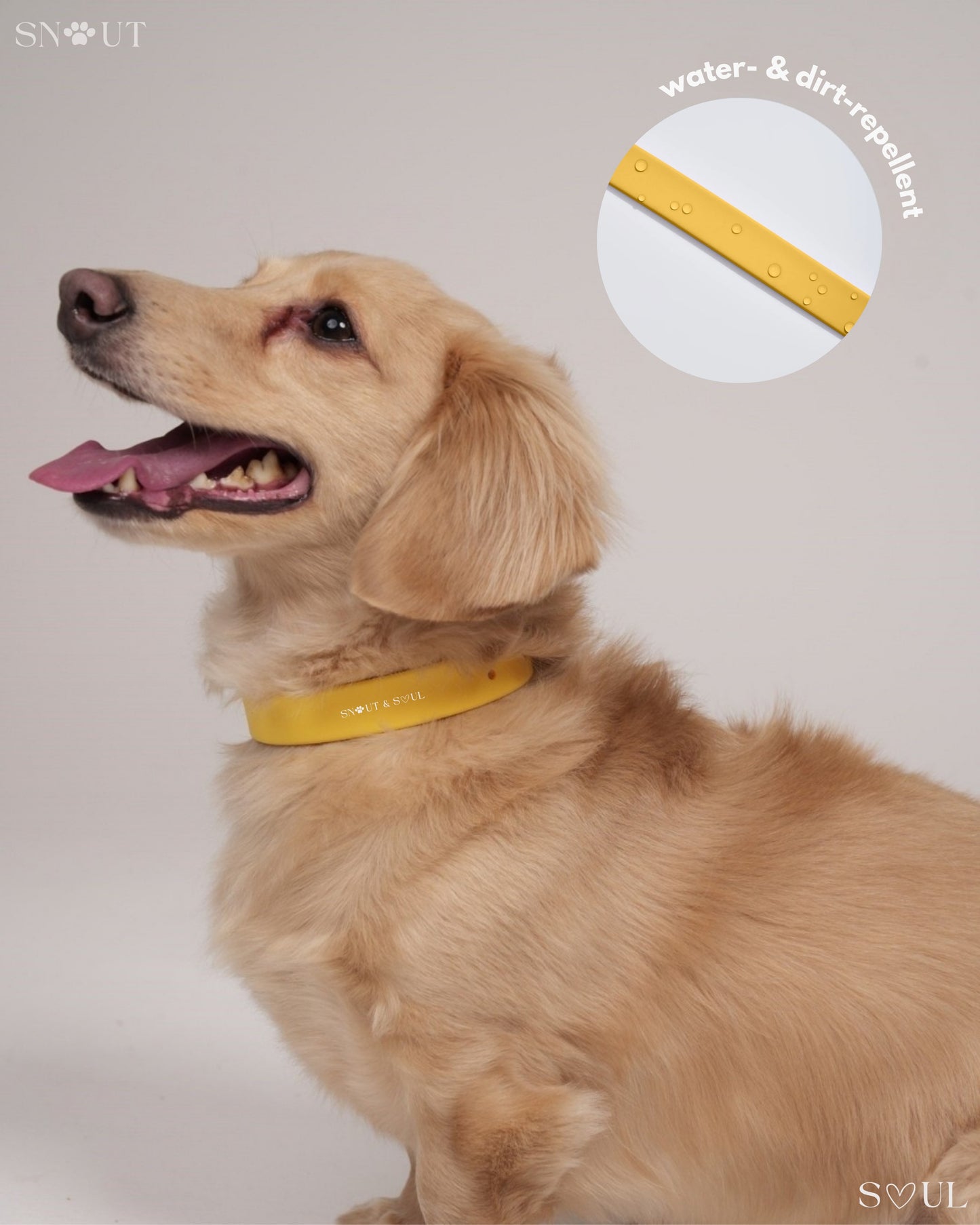 Collar