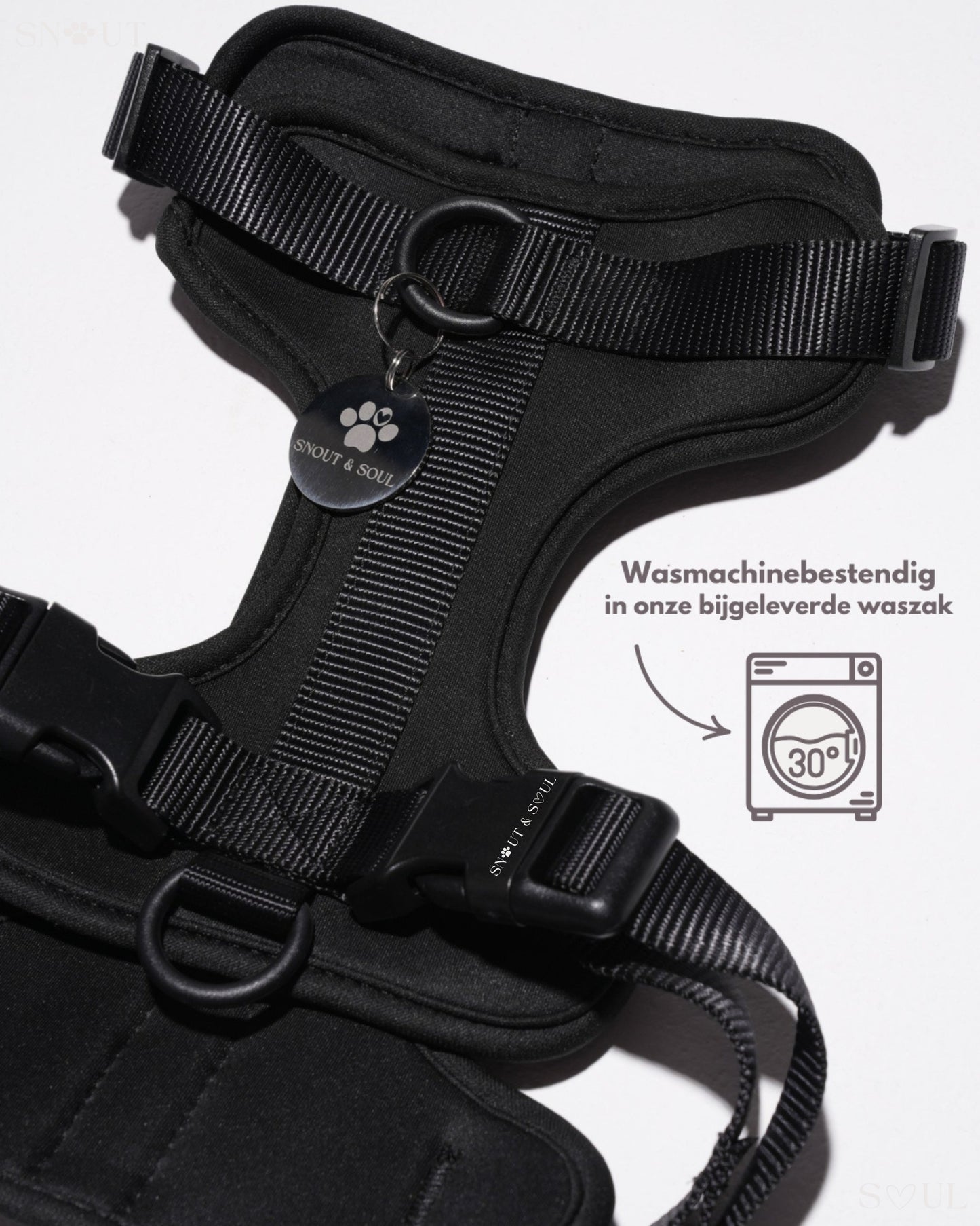 Harness