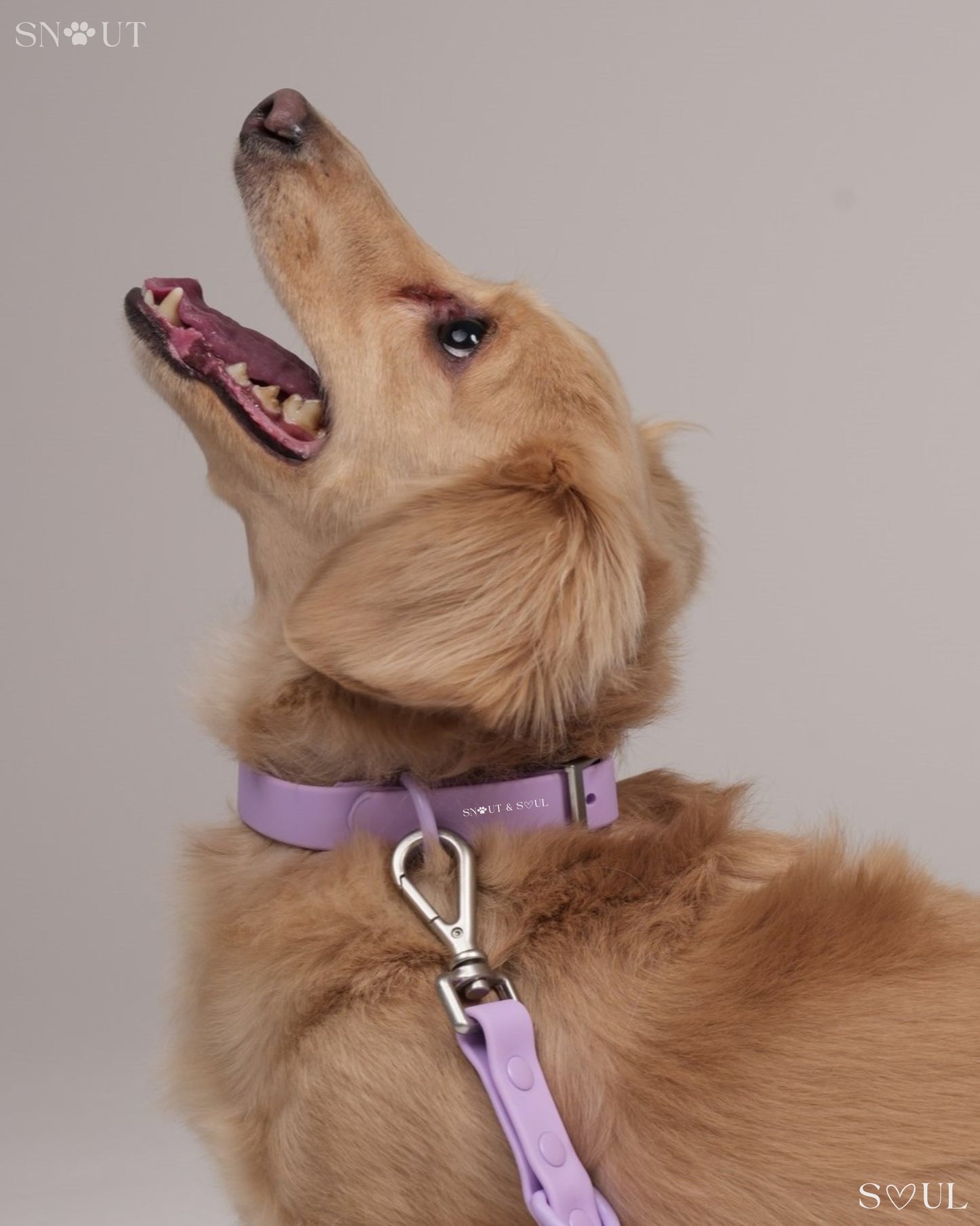 Collar