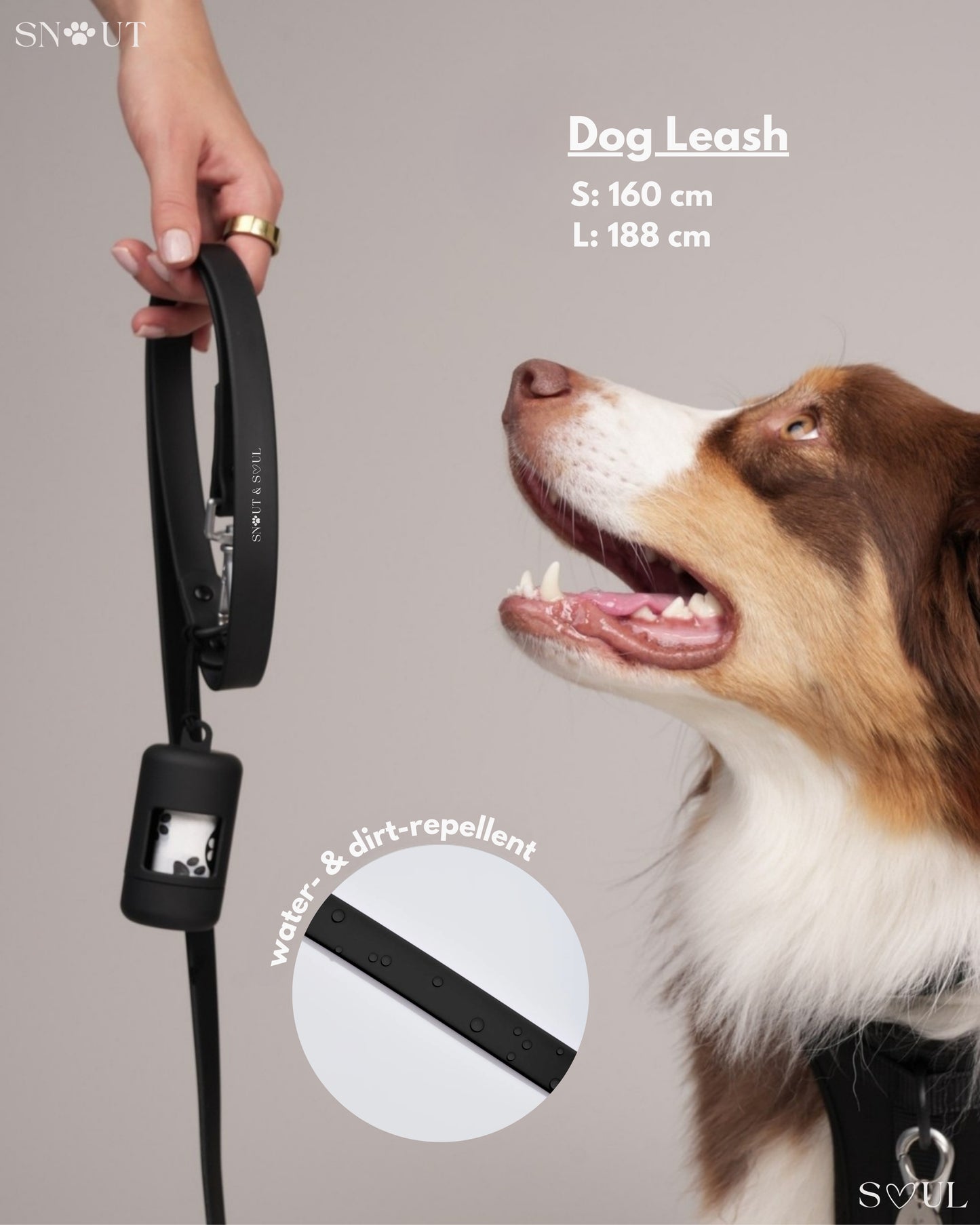 Leash