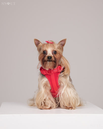 Harness
