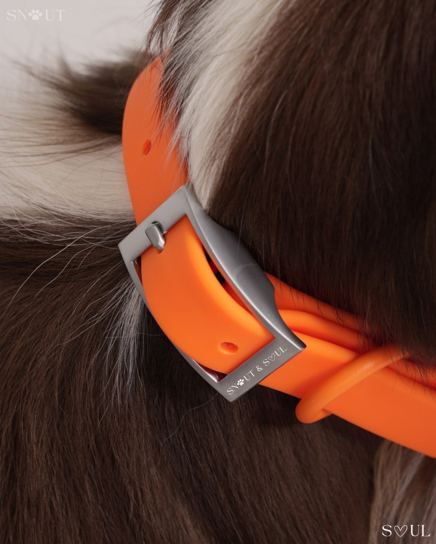 Collar