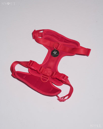 Harness