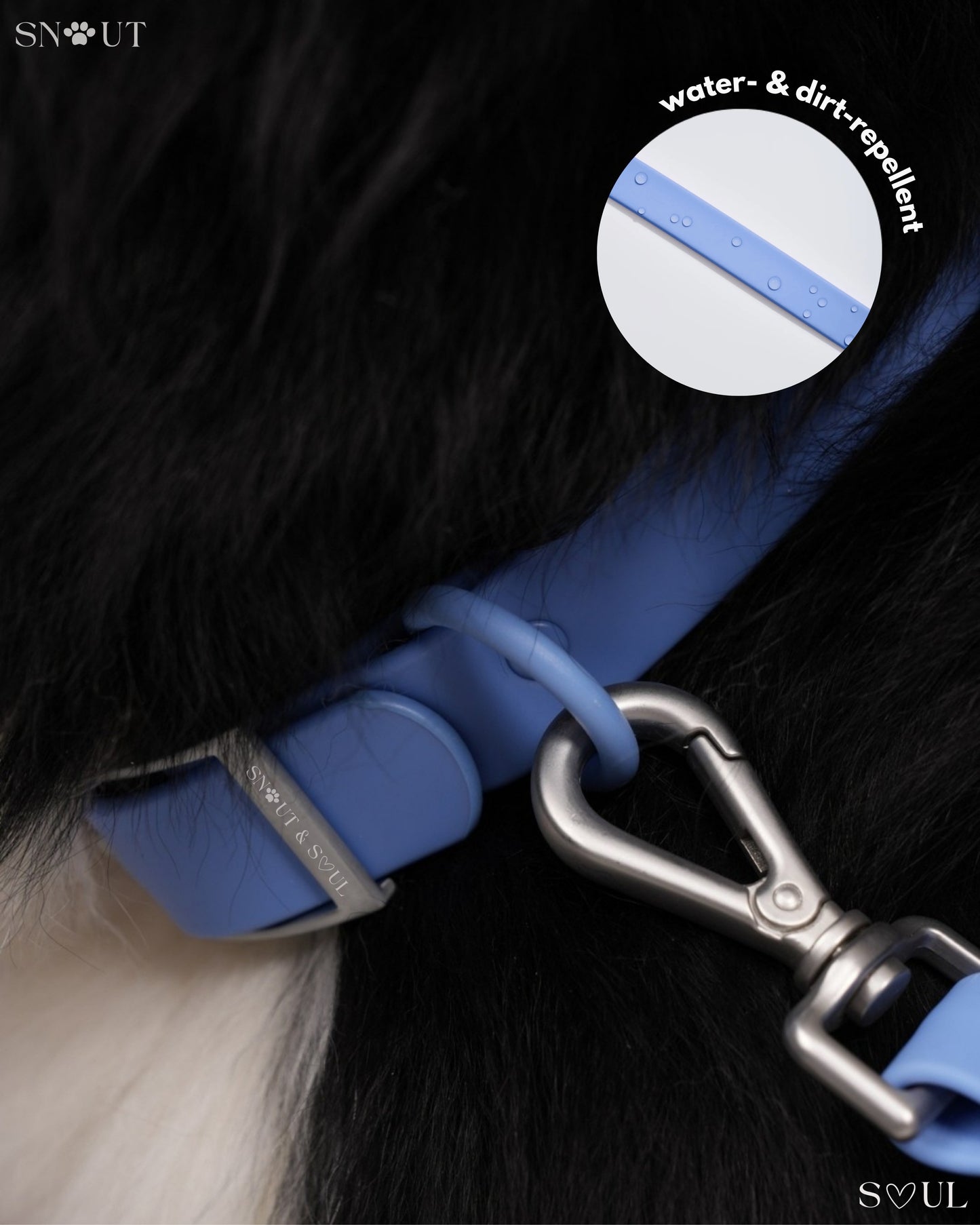 Collar