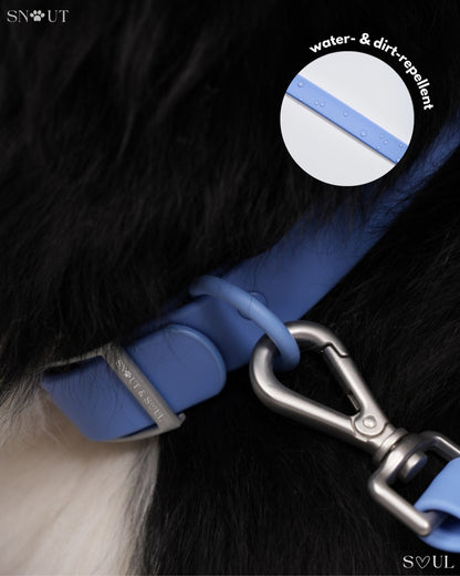 Collar