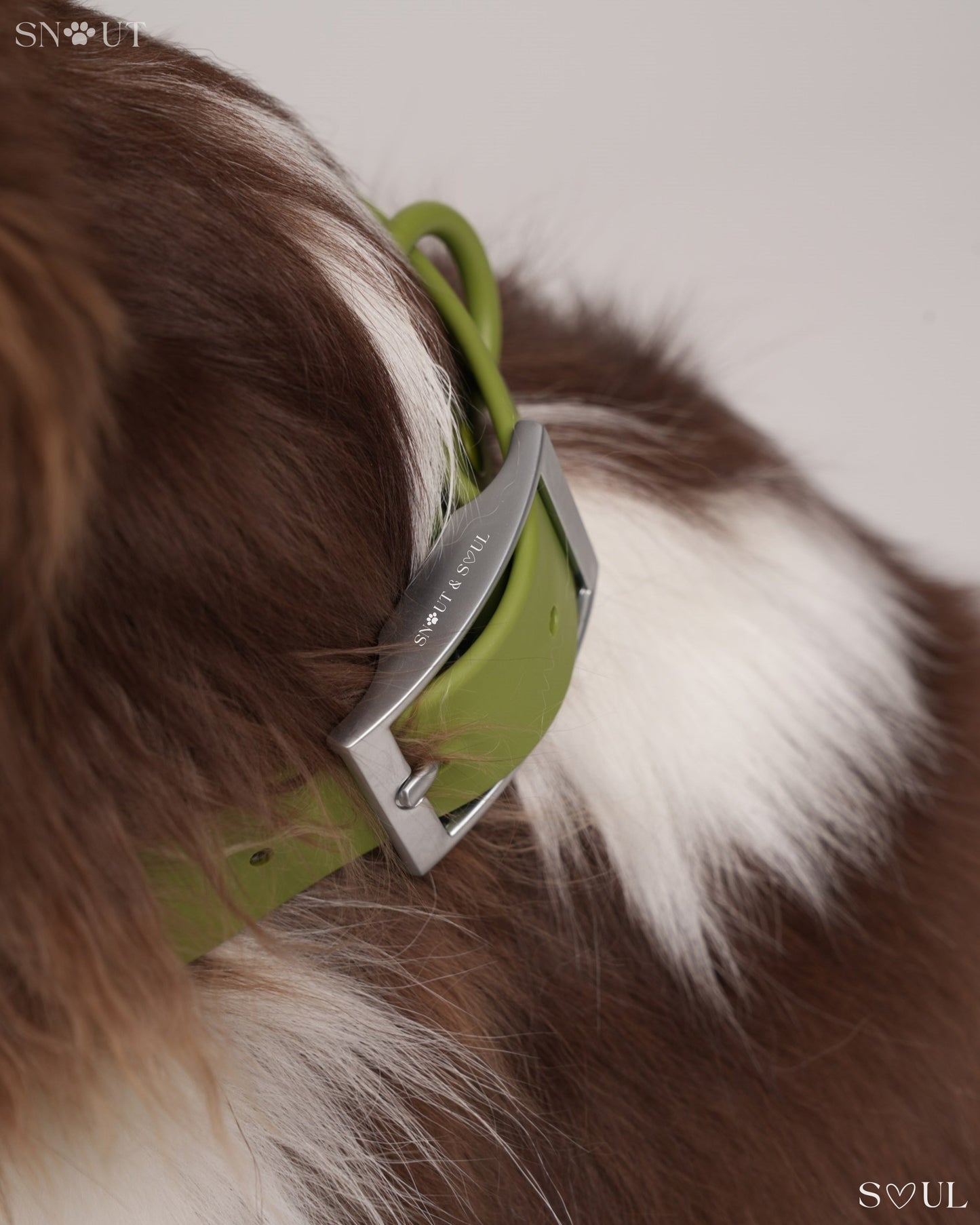 Collar