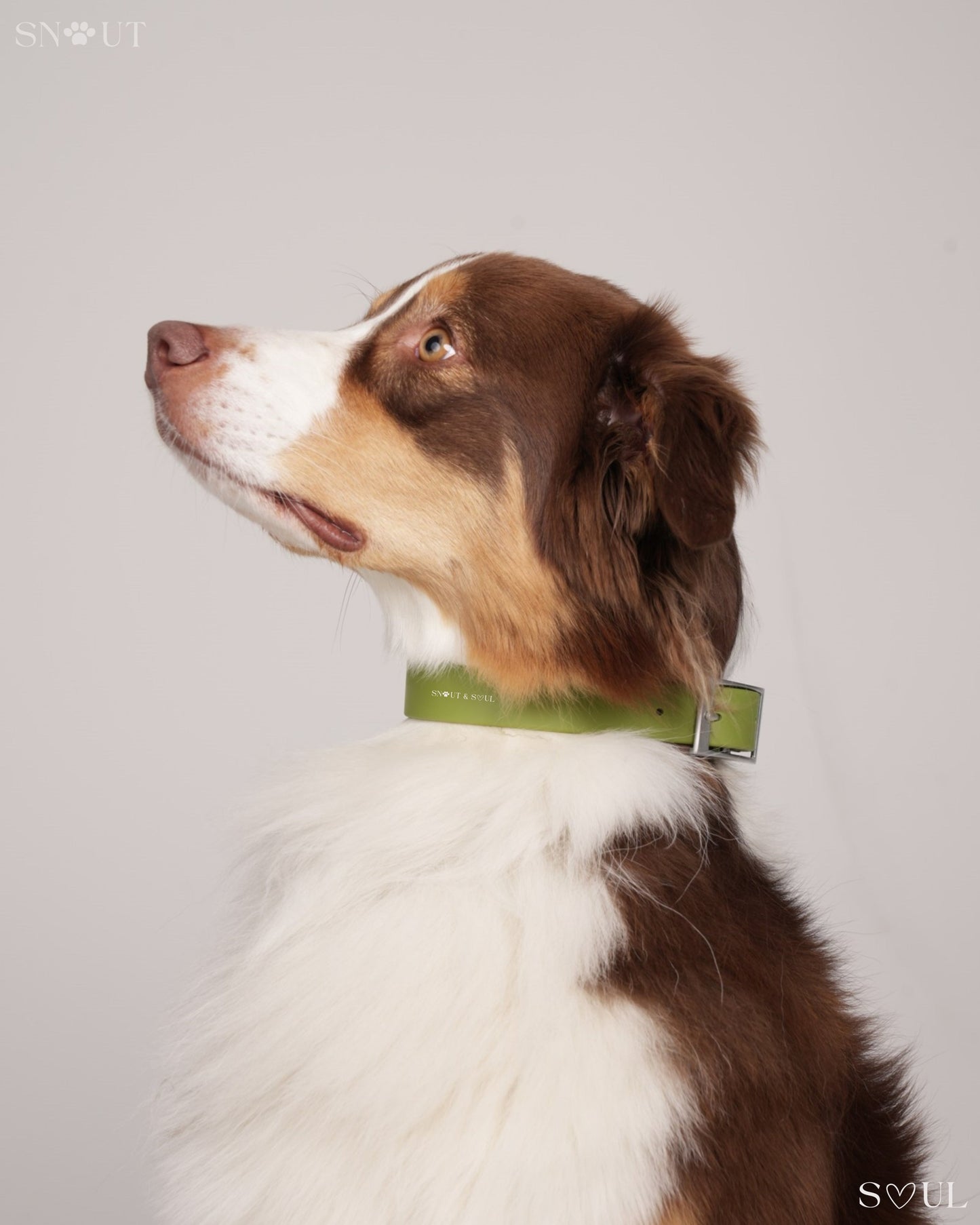 Collar