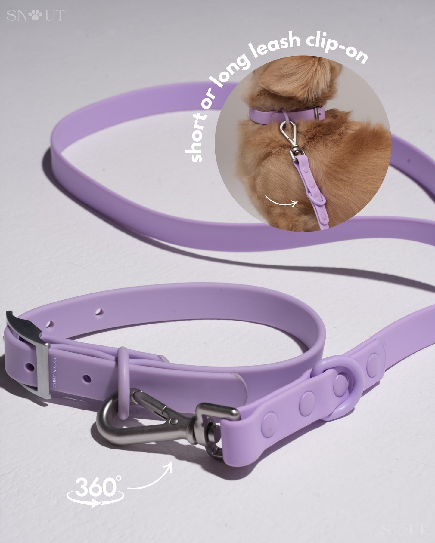 Leash