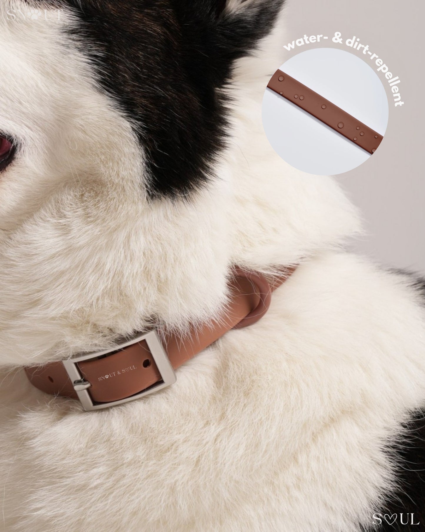 Collar