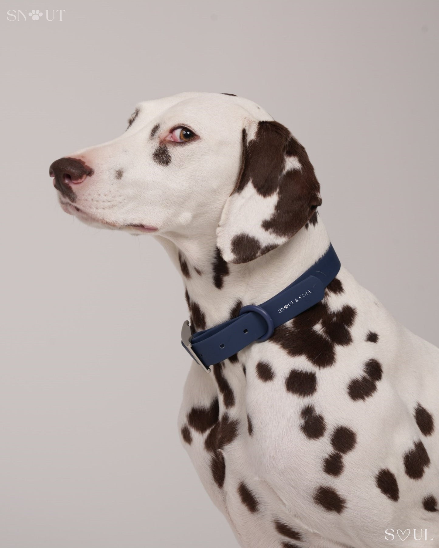 Collar