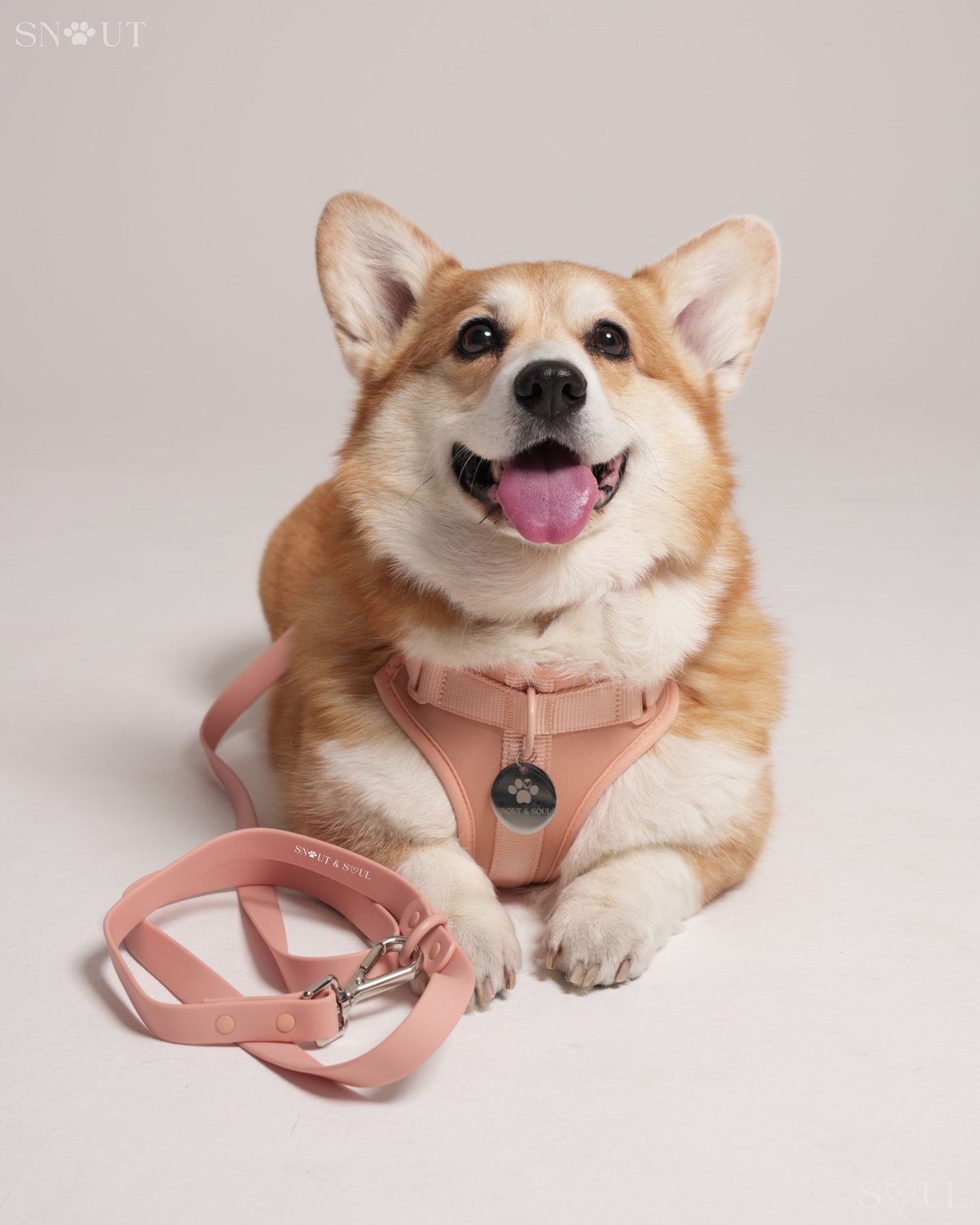 Leash