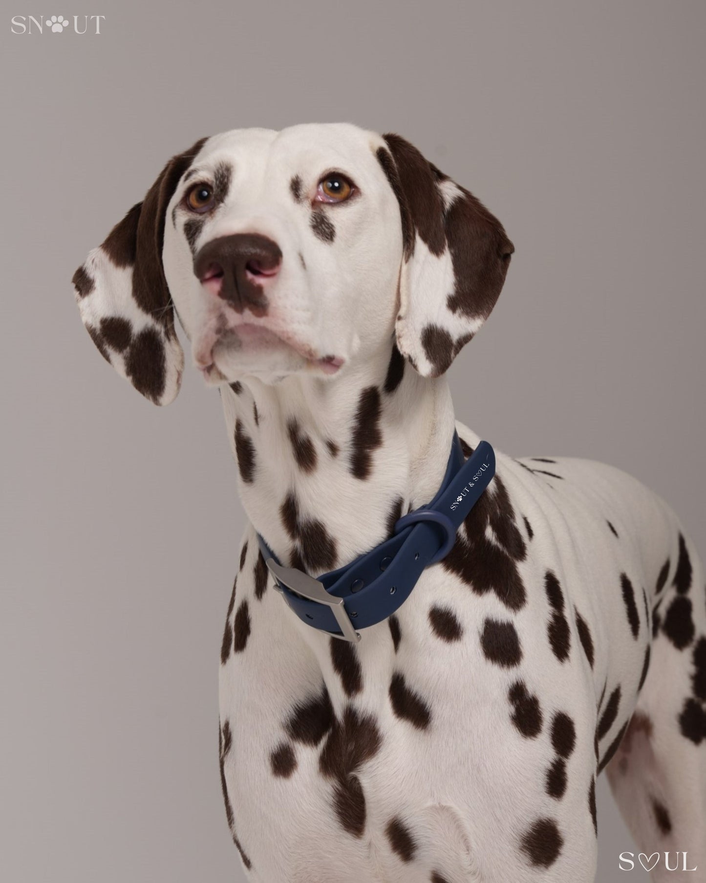 Collar