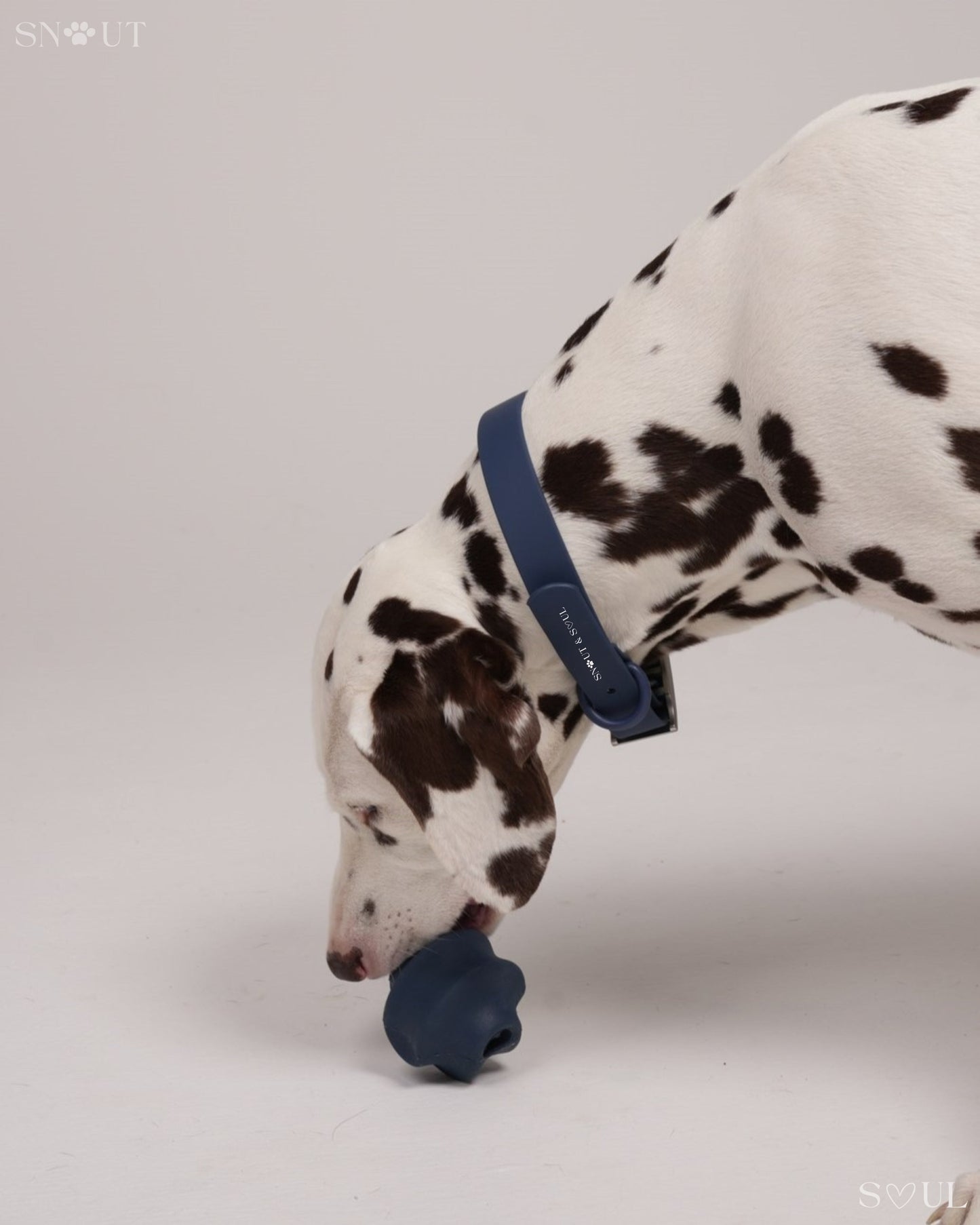 Collar